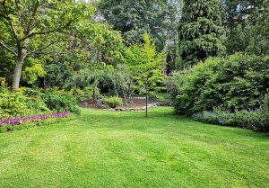 Optimiser l'expérience du jardin à Montjoie-en-Couserans